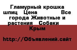 Гламурный крошка шпиц › Цена ­ 30 000 - Все города Животные и растения » Собаки   . Крым